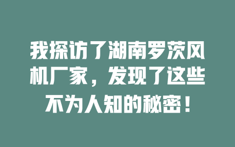 我探訪了湖南羅茨風機廠家，發現了這些不為人知的秘密！ 一