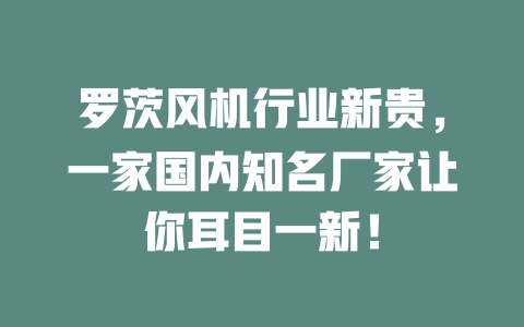 羅茨風機行業新貴，一家國內知名廠家讓你耳目一新！ 一