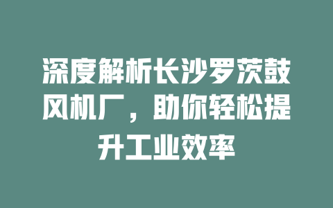 深度解析長沙羅茨鼓風機廠,助你輕松提升工業(yè)效率 一