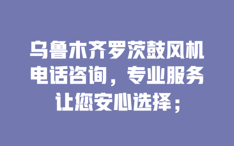烏魯木齊羅茨鼓風機電話咨詢,專業(yè)服務讓您安心選擇; 一