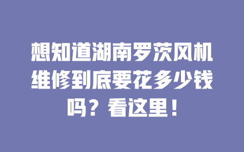 想知道湖南羅茨風機維修到底要花多少錢嗎?看這里! 一