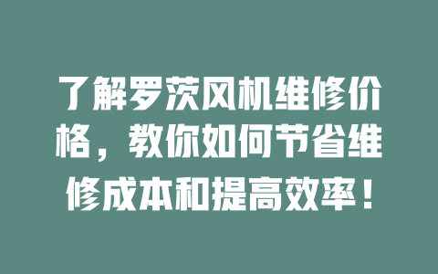 了解羅茨風(fēng)機(jī)維修價格,教你如何節(jié)省維修成本和提高效率! 一
