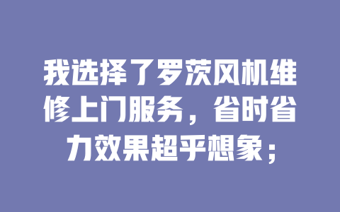 我選擇了羅茨風機維修上門服務,省時省力效果超乎想象; 一